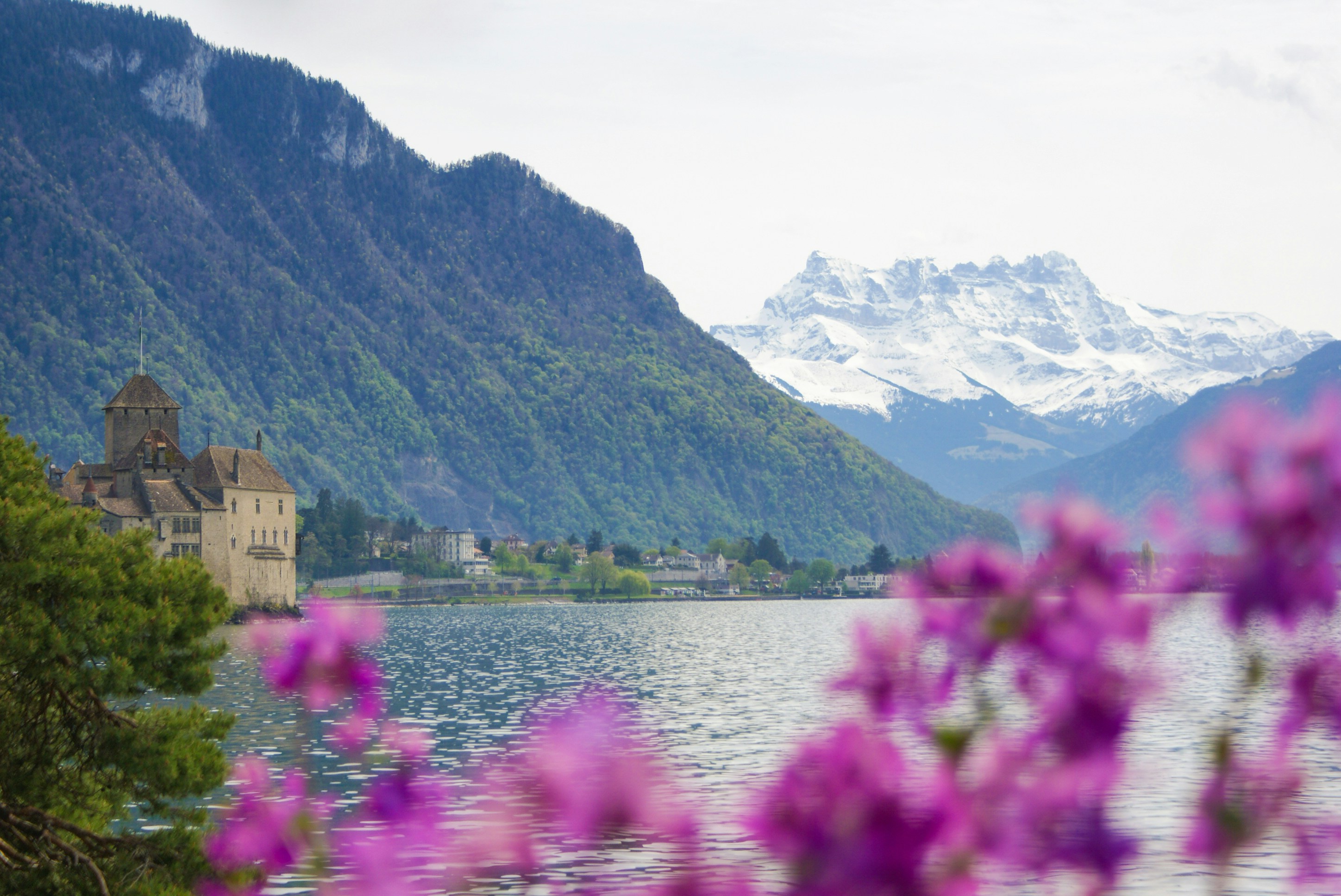 Switzerland's Winter Peaks Train JourneyImage
